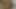 Morning Sex with Horny Wife Creampied -pov Try Not to Cum