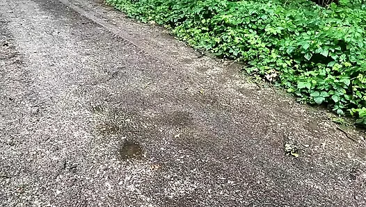 Arsch, Titten und Pussy bestrafen in der Picnichütte