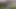 Halsfick und Halsfick-Blowjob mit Sperma im Mund, Zusammenstellung Oktober 2022