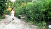 Pratinjau video