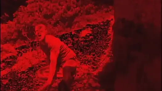 Blonde MILF wird von seinem freund im wald gefickt