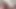 BBW TS Janey dildo fun