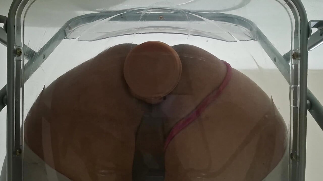 Trans Fat Ass Gwen Facesitting i Anal jebana z creampie przez Clear Chair po raz pierwszy.
