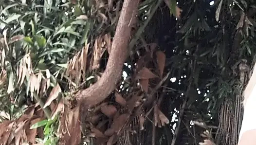 Ben ve Dai Belan, neredeyse çıplak, dairenin balkonunu yıkıyorduk ve komşular bizi izliyordu