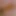 training my gaped boypussy huge butt plug