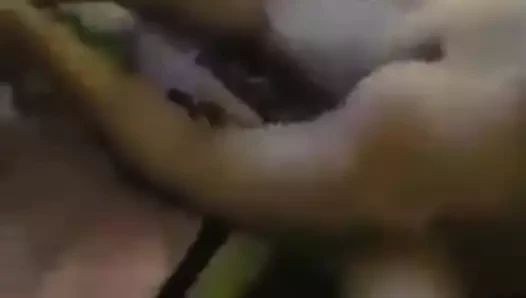 Türk-