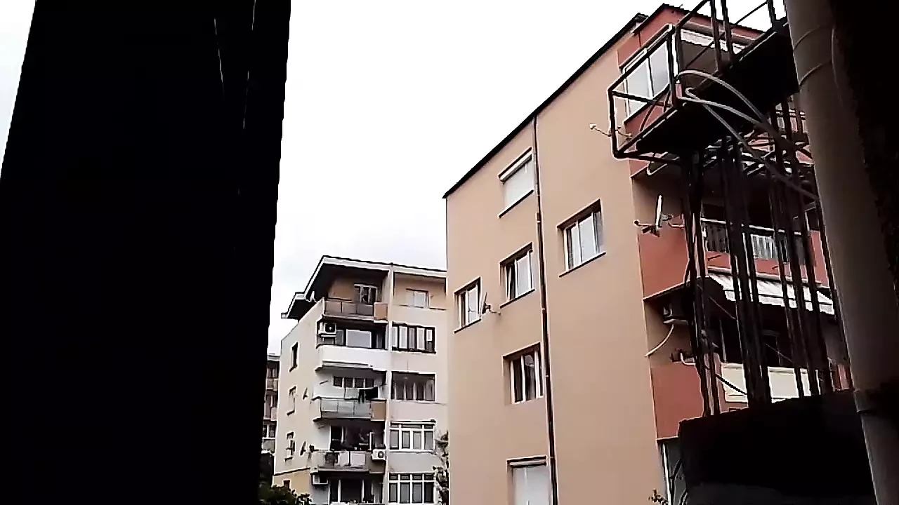 Showing the tits on grandma’s block