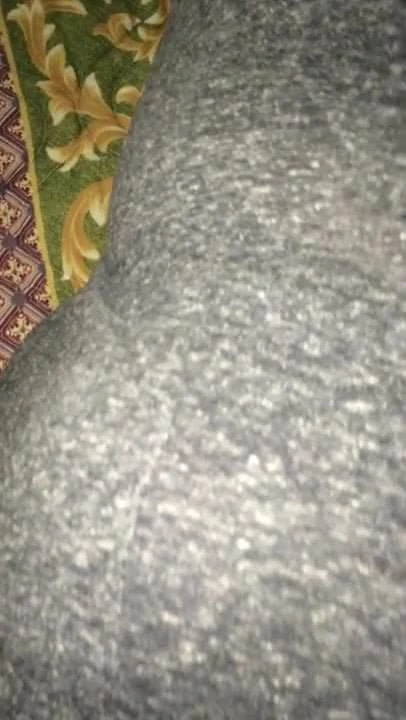 made this white thot suck my dick on her back