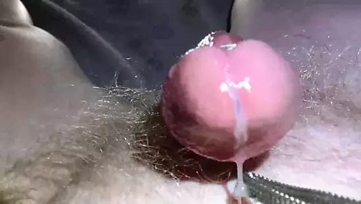 Yumuşaktan serte küçük penis ayağa kalkar.