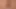 Sex in the wild with busty bitches 18+