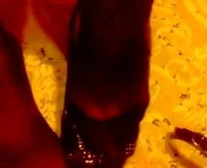 Beautiful feet in nylon