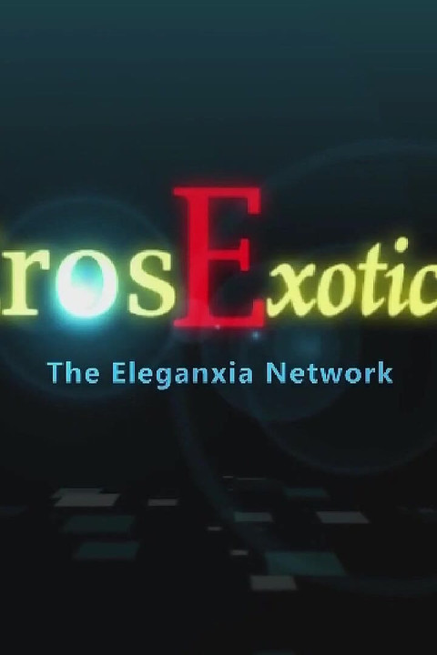 Eros Exotica HD: Tantra Techniques (hd): Part 3