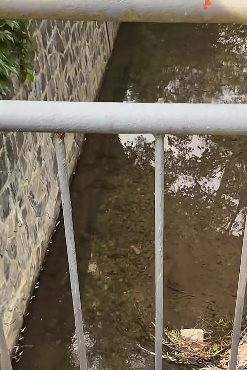 Summer Walk in the Park