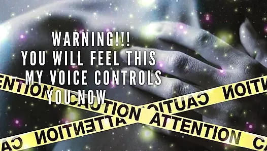 The Nlp Toolbox: Warning!!! You Will Feel This - My Voice Controls You Now