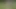 Walk through the woods