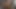 DobermanStudio emma episode 1 Intense hard anal sex delicious intense anal creampie anus gaped hard sex hot ass fucked buttocks