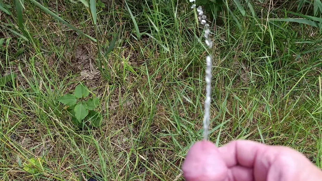 Pissing outdoors