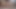 大学生の女の子が激しいオーガズム中に寮の部屋を濡らす