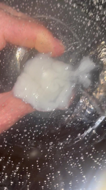 Vem har en smak för spermccini alfredo