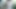 ティーン・ネイバーズ・ワイフ映画