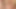 Orgy Lesbians Masturbating and Sucking Their Asses & Pussies