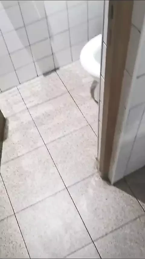 Fac Laba в туалете