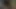 elektro KEDİ şok ceza