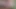 Masturbation pt2 Satisfying Orgasm Indian boy masturbating in the jungle  with SHAMPOO