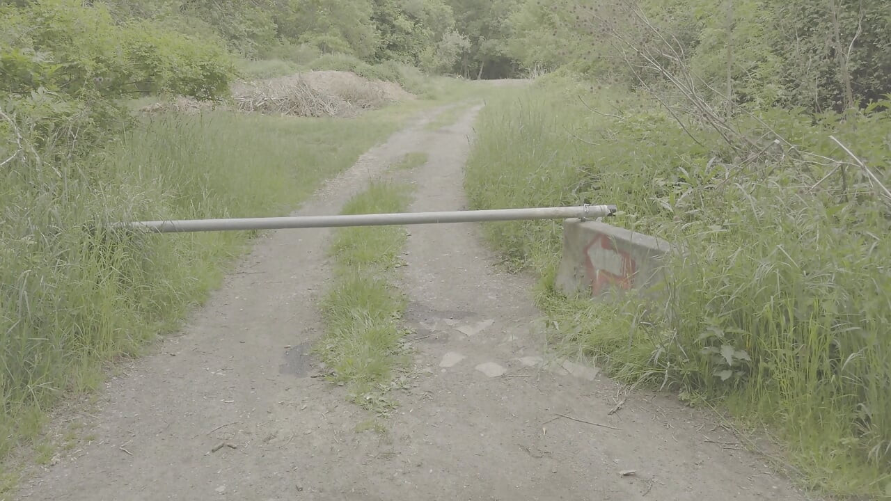 Redhead BBW Pisses Next to a Gate