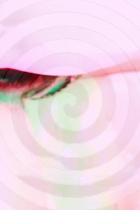 The Ass of God