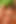 Üç kabin görevlisi, Brezilya ile Güney Kore maçından sonra (Ai tarafından üretilen) çılgın bir lezbiyen gecesi geçiriyor
