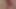 I fat pig swallow my piss and jerk off my mini cock