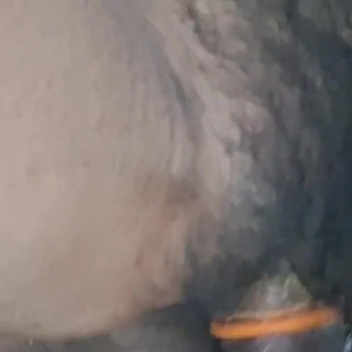 Harry Pussy Fuck Part 2