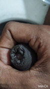 Pratinjau video