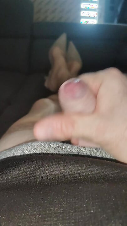 Nestašno malo zadovoljstvo