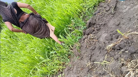 Köyün desi yengesi, ince belli, tarlada yem keserken vücudunu göstererek kayınbiraderi eve getirdi ve yengemin ağzından alozu emmesini sağladı