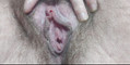 Pratinjau video