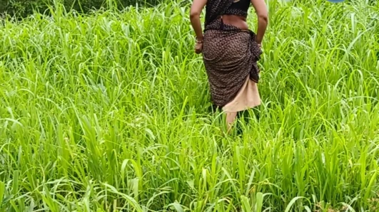 Menantu perempuan desi desa sedang melepas pakaiannya di ladang millet dan menunjukkan jarinya di vaginanya kepada ayah mertuanya.