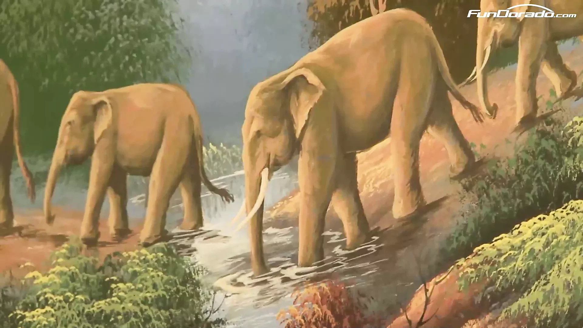 american,fetish,amateur