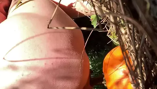 Pumpkin Humping
