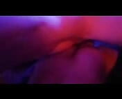 大美妞大黑为我繁殖