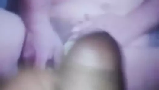 Mamilucia haraç 4