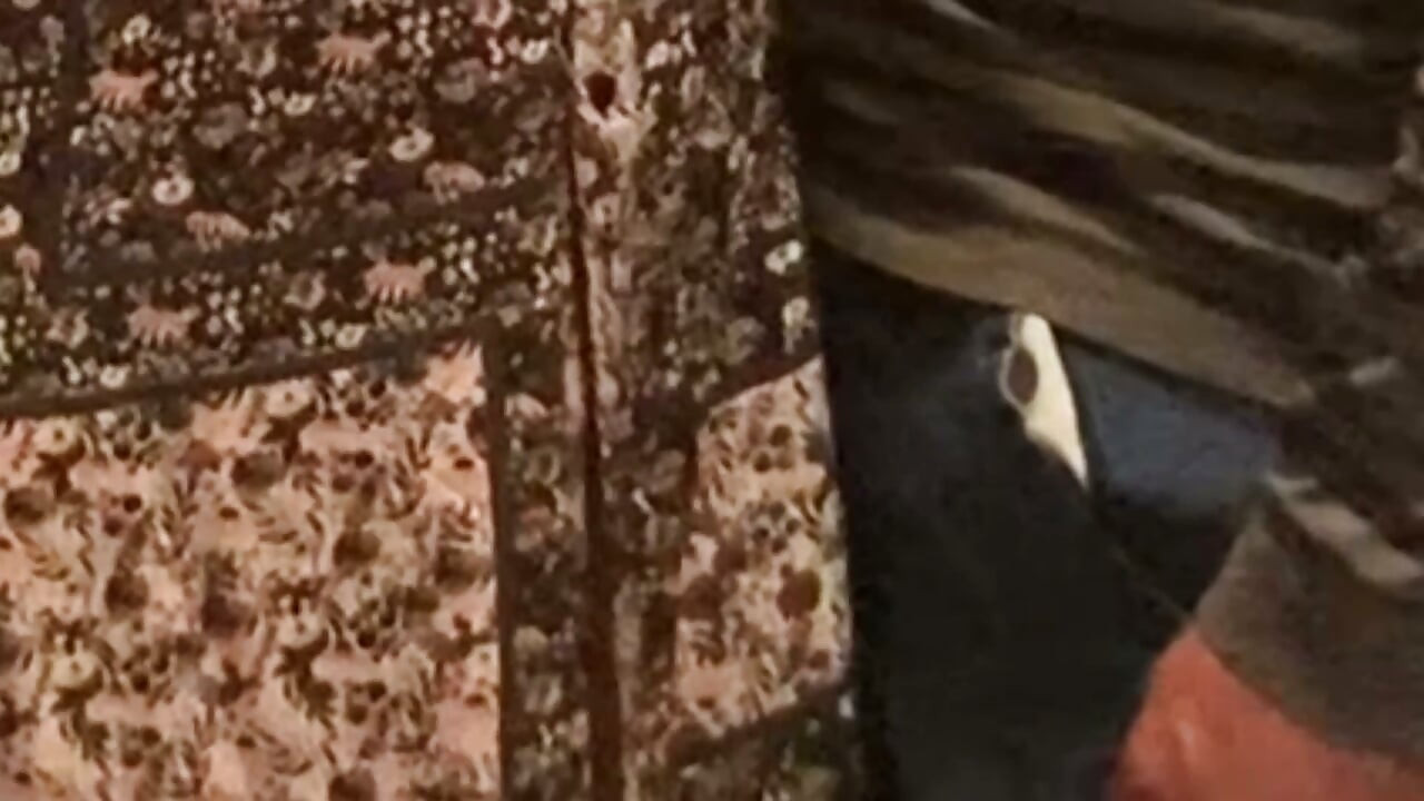 Pussy flash - puta estranha na siririca no metrô