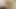 TS Chelsea Marie & TS Morena Black's Long Hanging Dicks