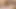 Молодая девушка с большими натуральными сиськами обожает принимать член сзади
