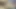 Ne bekliyorsun, üvey erkek kardeş? Artık parmak istemiyorum, gel ve götümü sik! - İSPANYOLCA PORNO