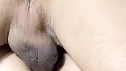 Moroccan Anal Sex Jalaba