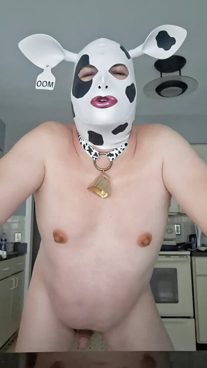 Hucow Subota, hoćeš li me natjerati da MOO!