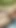 Memorable moment from "Indian Desi hot Mallu girl visiting her friend's house for combine study getting fucked by him -"