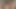 Camming e36 büyük baştankara milf canlı kam gösteri